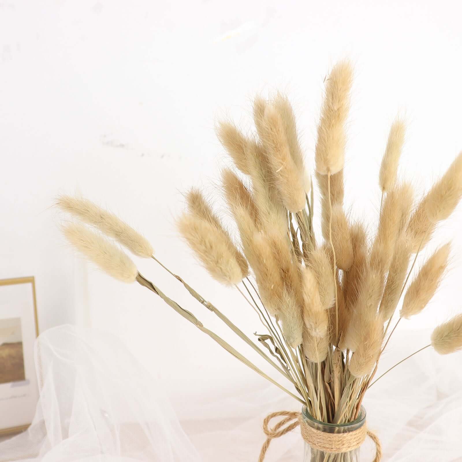 Natural dried bunny tail ornamental grass bundle boho